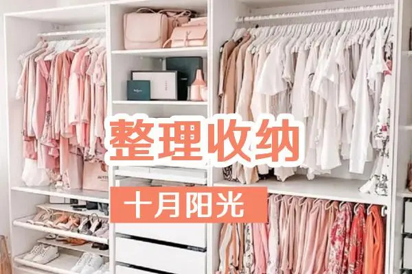 学收纳师交多少钱学费？
